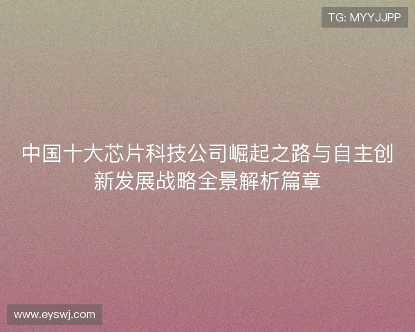 中国十大芯片科技公司崛起之路与自主创新发展战略全景解析篇章
